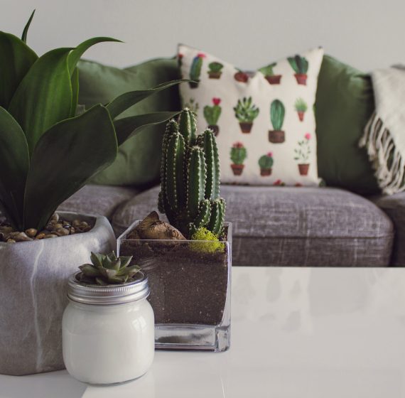 pexels photo 1005058.jpeg